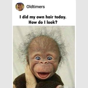 Meet your Posher, Marian